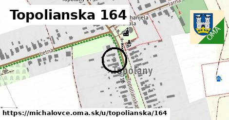 Topolianska 164, Michalovce