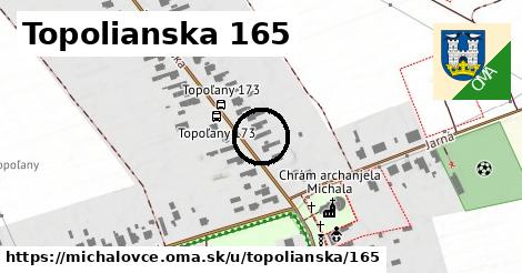 Topolianska 165, Michalovce