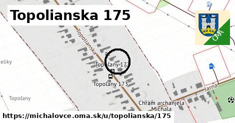 Topolianska 175, Michalovce