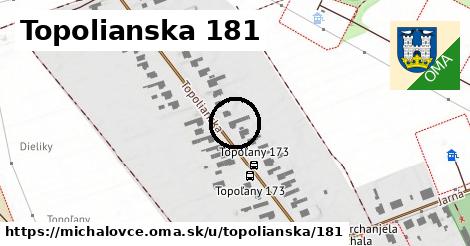 Topolianska 181, Michalovce