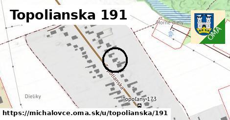 Topolianska 191, Michalovce