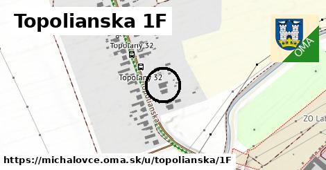 Topolianska 1F, Michalovce