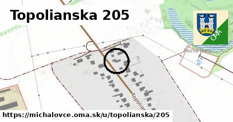 Topolianska 205, Michalovce