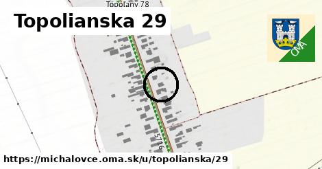 Topolianska 29, Michalovce