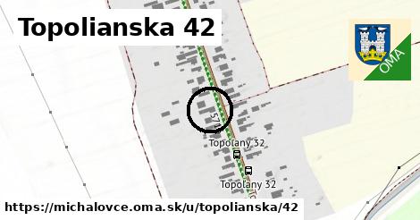 Topolianska 42, Michalovce