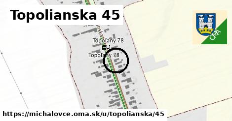 Topolianska 45, Michalovce