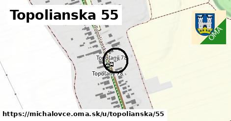 Topolianska 55, Michalovce