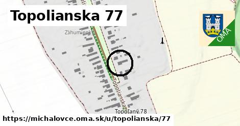 Topolianska 77, Michalovce