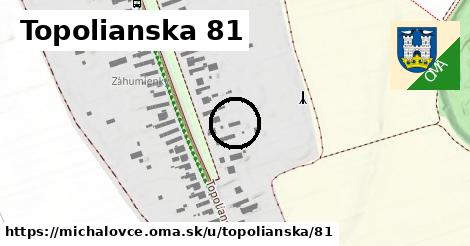 Topolianska 81, Michalovce