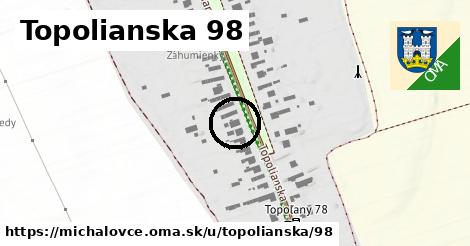 Topolianska 98, Michalovce