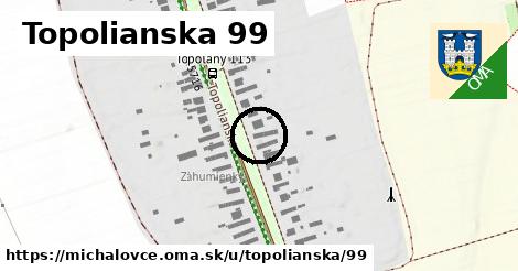 Topolianska 99, Michalovce