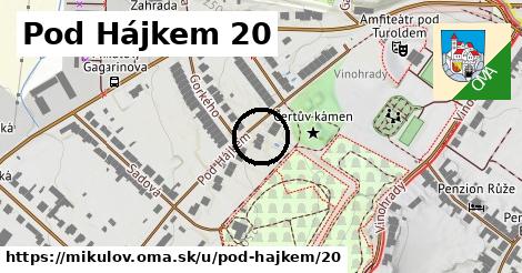 Pod Hájkem 20, Mikulov