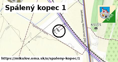 Spálený kopec 1, Mikulov