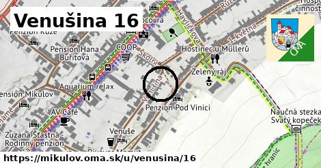 Venušina 16, Mikulov