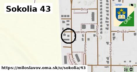 Sokolia 43, Miloslavov