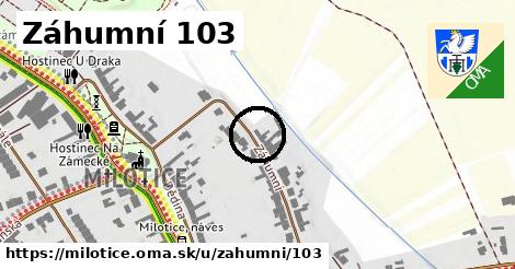 Záhumní 103, Milotice