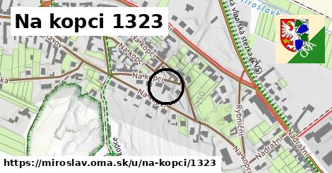 Na kopci 1323, Miroslav