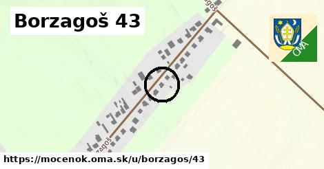 Borzagoš 43, Močenok