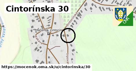 Cintorínska 30, Močenok