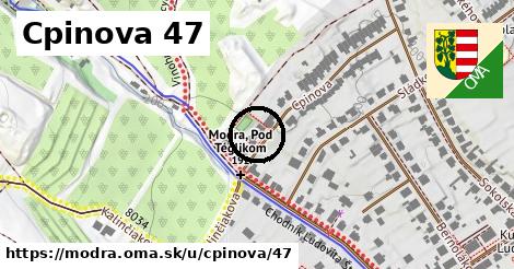 Cpinova 47, Modra