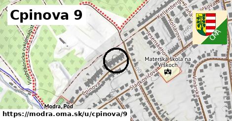 Cpinova 9, Modra