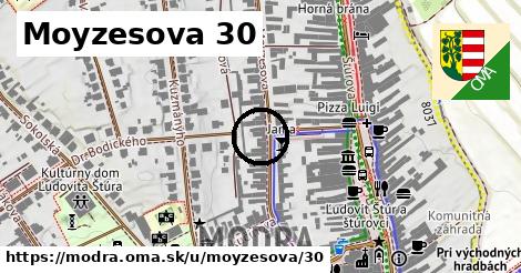 Moyzesova 30, Modra