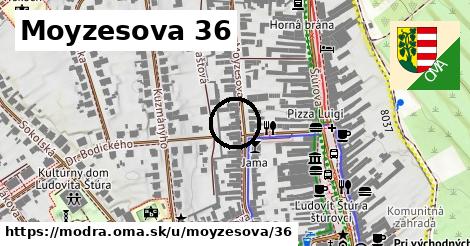 Moyzesova 36, Modra