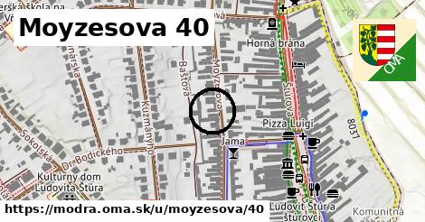 Moyzesova 40, Modra