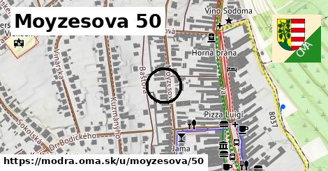 Moyzesova 50, Modra