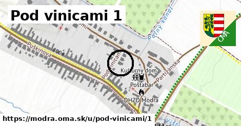 Pod vinicami 1, Modra