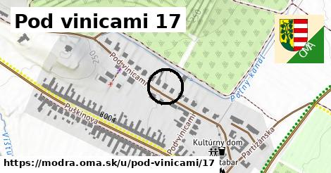 Pod vinicami 17, Modra