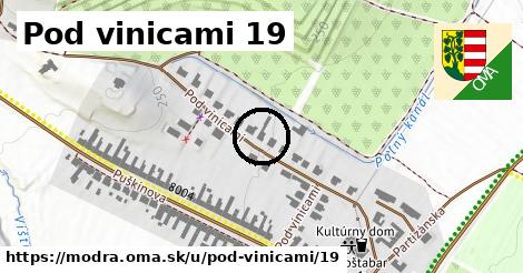 Pod vinicami 19, Modra