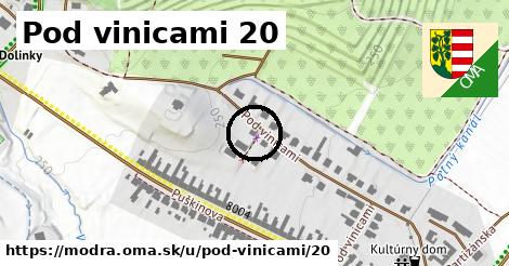 Pod vinicami 20, Modra