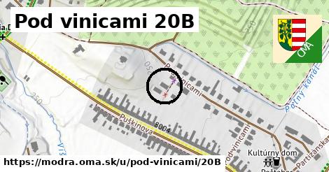 Pod vinicami 20B, Modra