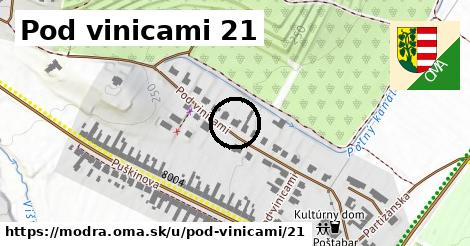 Pod vinicami 21, Modra