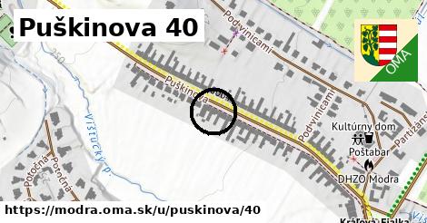 Puškinova 40, Modra
