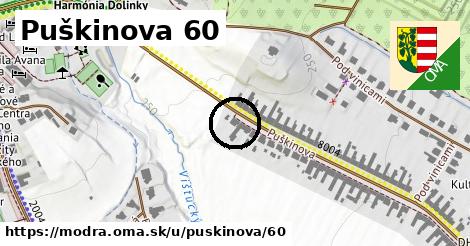 Puškinova 60, Modra