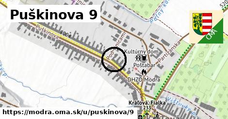 Puškinova 9, Modra