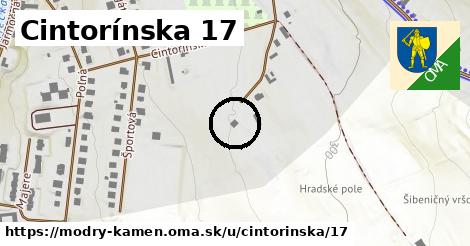 Cintorínska 17, Modrý Kameň