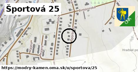 Športová 25, Modrý Kameň