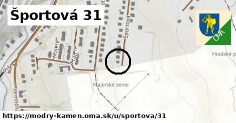 Športová 31, Modrý Kameň