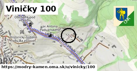 Viničky 100, Modrý Kameň