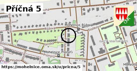 Příčná 5, Mohelnice