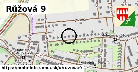 Růžová 9, Mohelnice