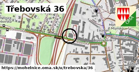 Třebovská 36, Mohelnice