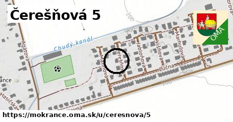 Čerešňová 5, Mokrance