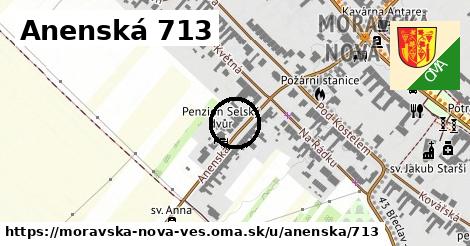 Anenská 713, Moravská Nová Ves