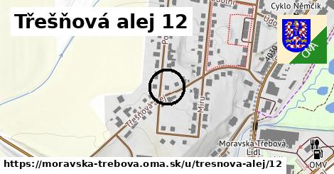 Třešňová alej 12, Moravská Třebová