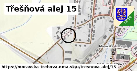 Třešňová alej 15, Moravská Třebová