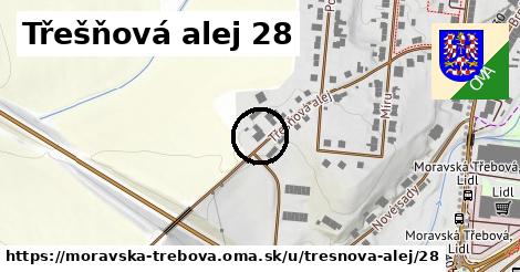 Třešňová alej 28, Moravská Třebová